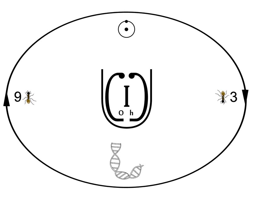 Figure describing a Logo of Sciences by M J Varkay